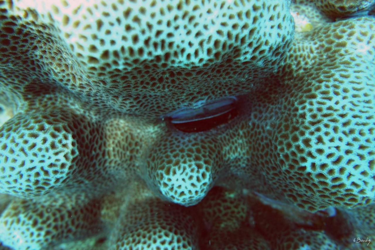 DSC01098