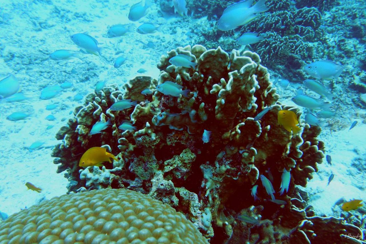 DSC01101