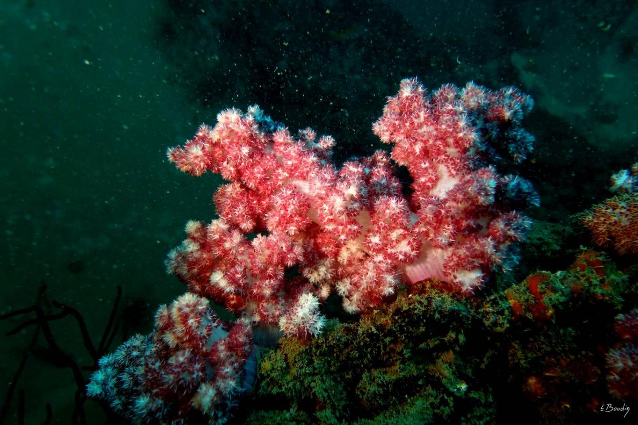 DSC01264