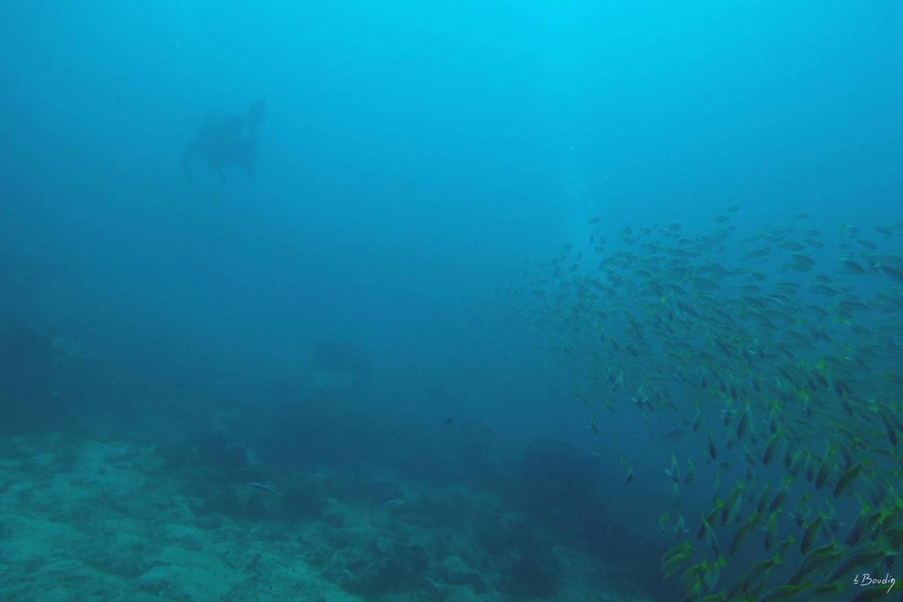 DSC01868