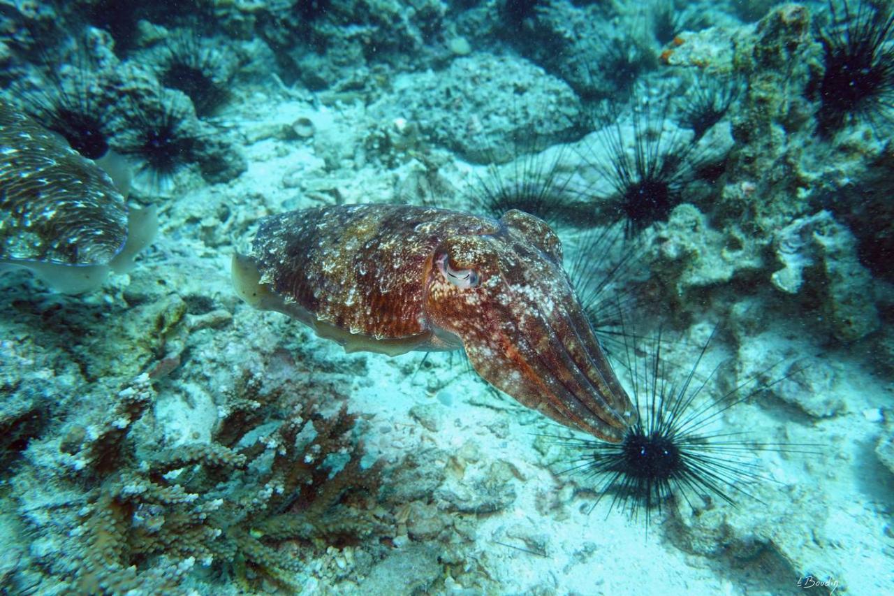 DSC01903