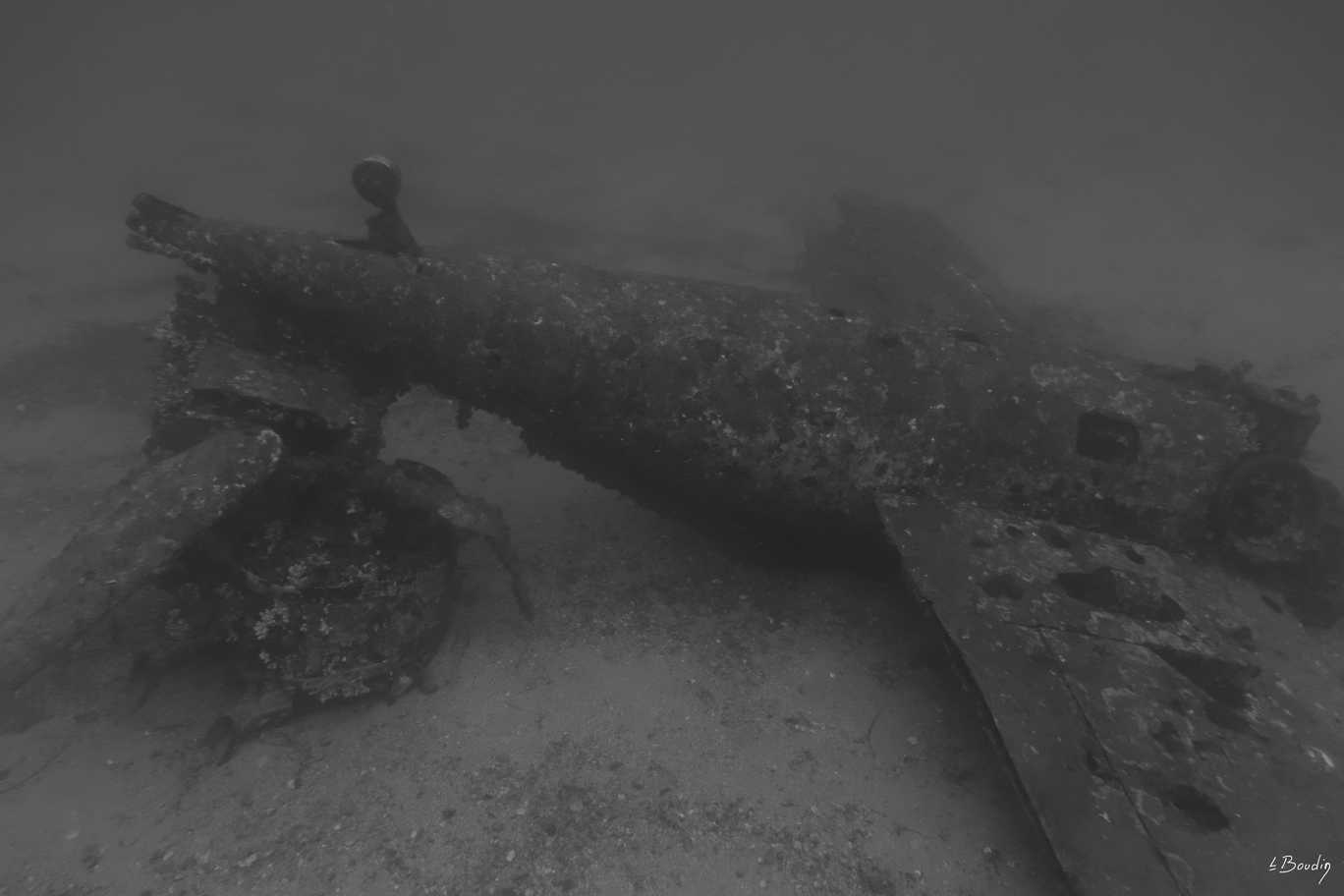 DSC04247_NB
