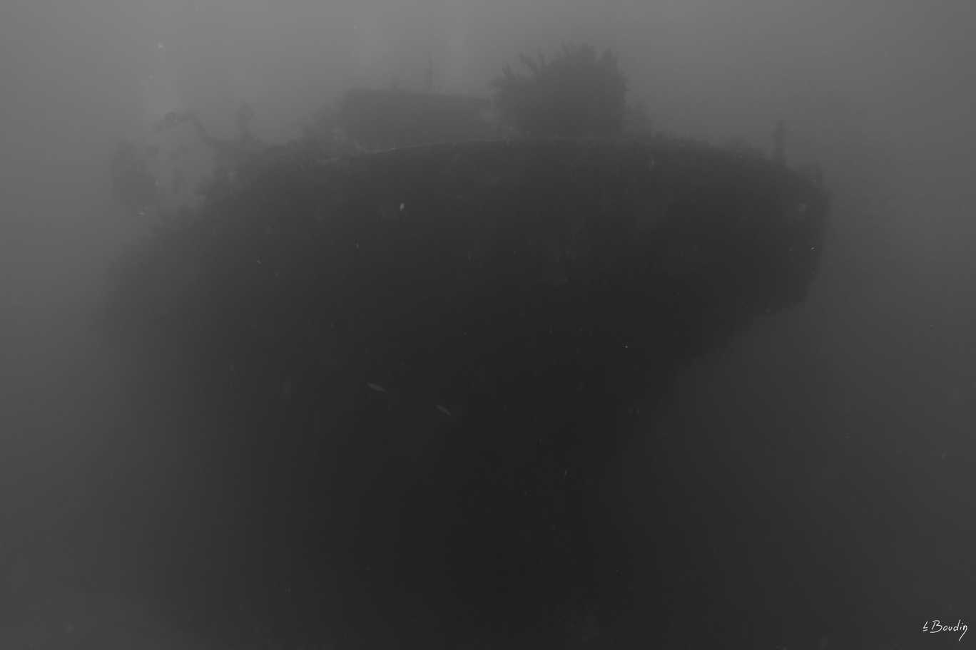 DSC04263_NB