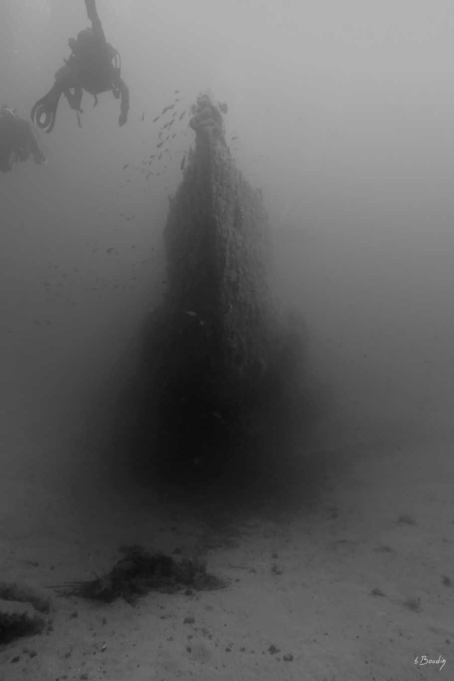 DSC04312_NB