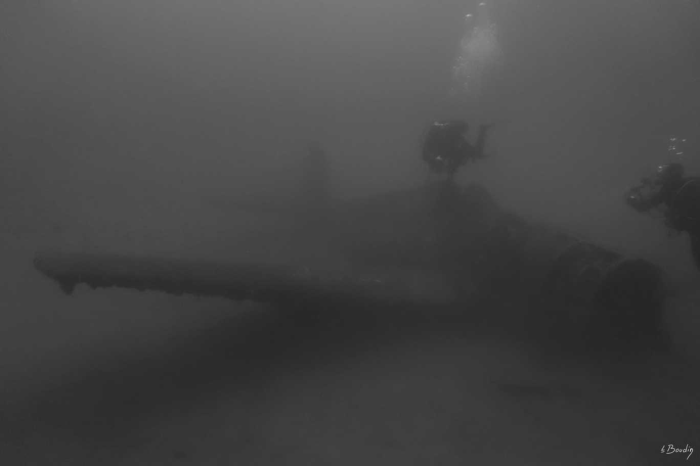 DSC04348_NB